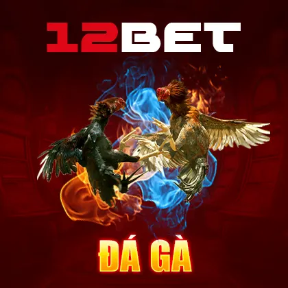 12bet đá gà